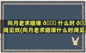 向月老求姻缘 🐝 什么时 🐈 间见效(向月老求姻缘什么时间见效zui
好)